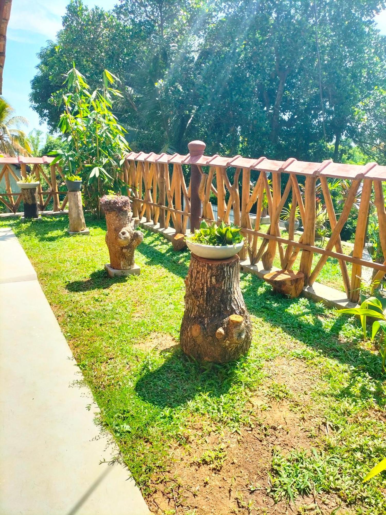 Villa Blue Ocean Tree House Hiriketiya Dikwella Exterior foto